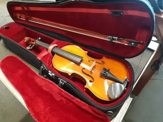 Eastman Strings - VL80LM 3/4 Violin Outfit